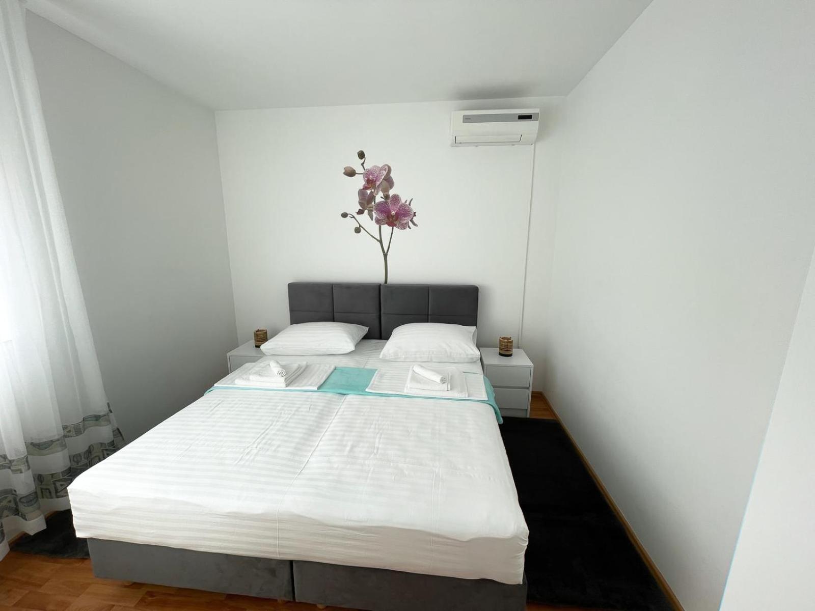 Apartmani Tatjana Novalja Eksteriør bilde